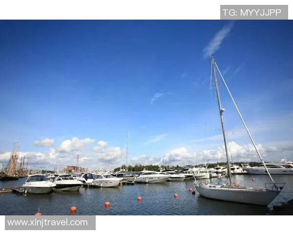 芬兰足球巨星的荣耀征程与他如何点燃北欧绿茵的激情梦想